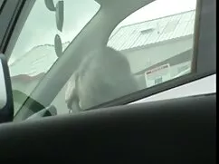 Strapon young cerca de sexo amteur mexicano la piscina