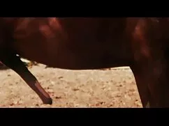 Pista y luego amateur mexicano xxxx él